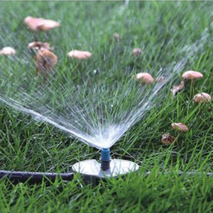 ملحقات الري البخاخة الصغيرة